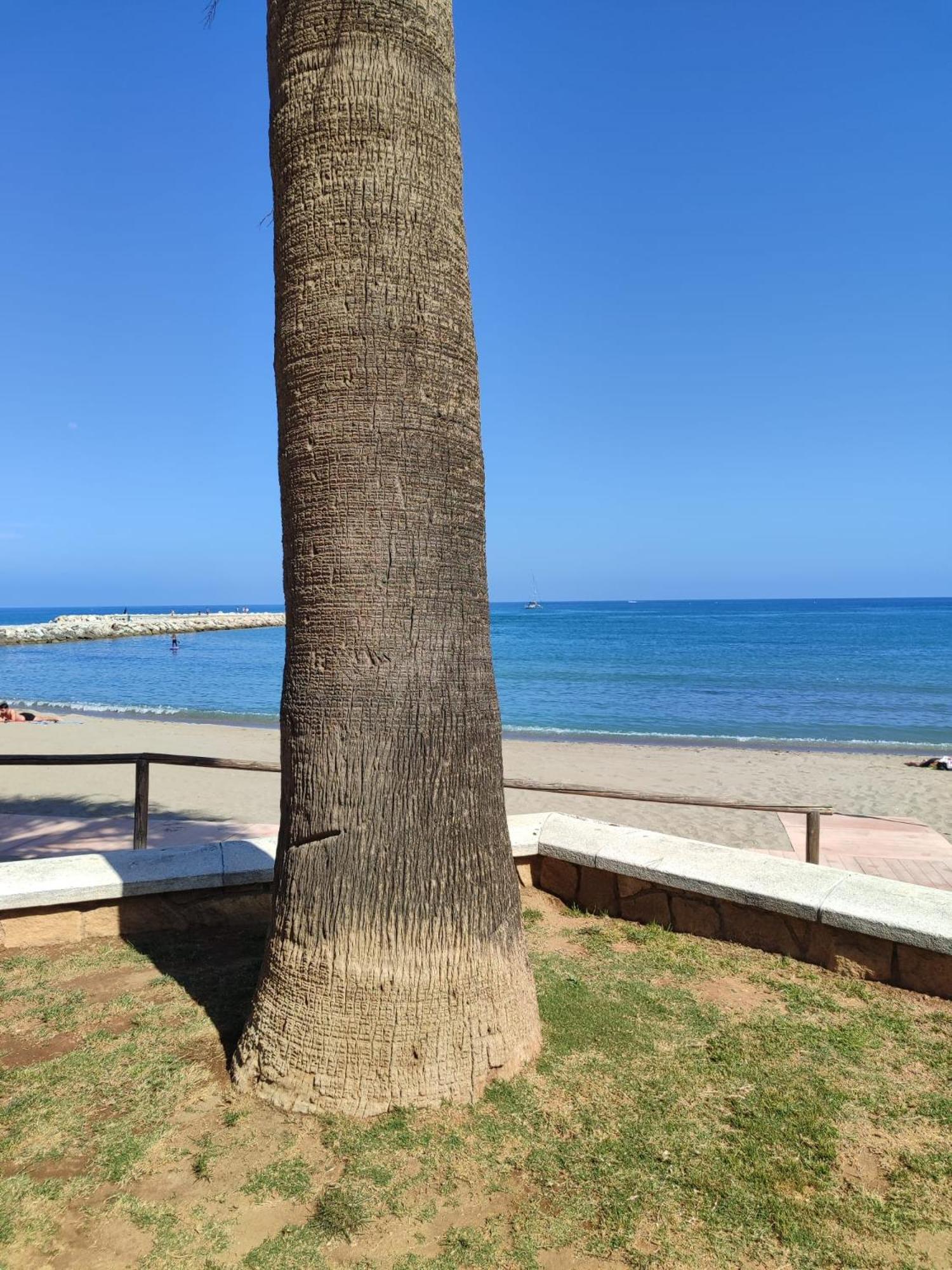 Fuengirola Reyes Beach Εξωτερικό φωτογραφία